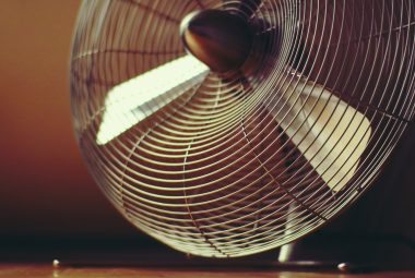 fan